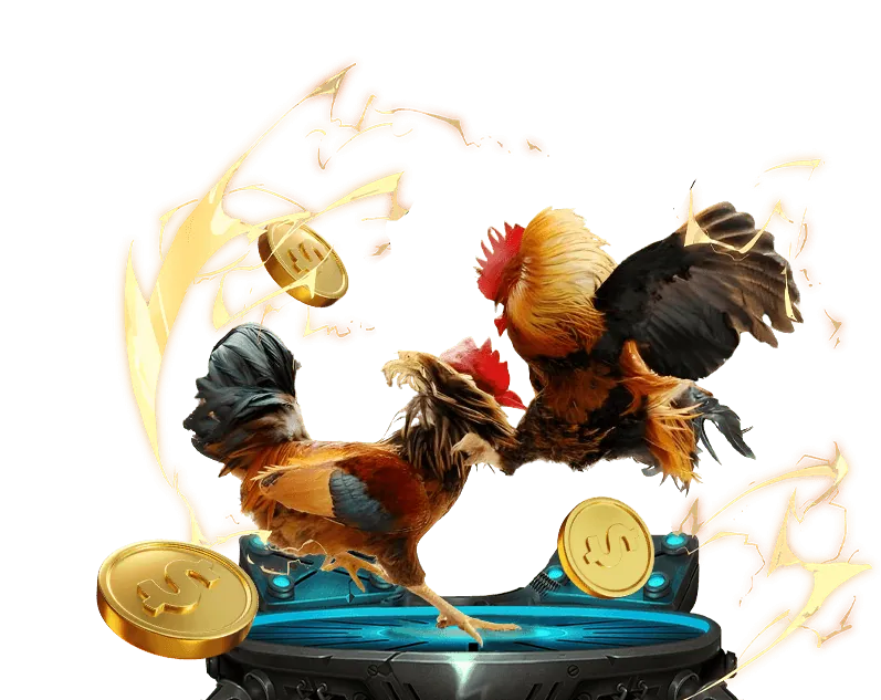 Máy đánh bạc và trò chơi bắn cá 55mom